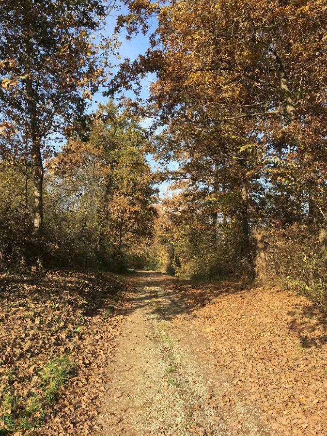 B&B Cascina Dei Levrieri Capriglio Kültér fotó